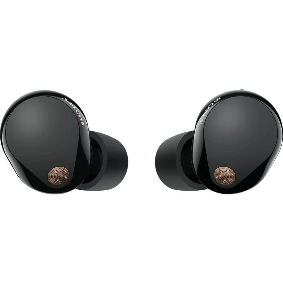 Беспроводные наушники Sony WF-1000XM5 Черный (Black)