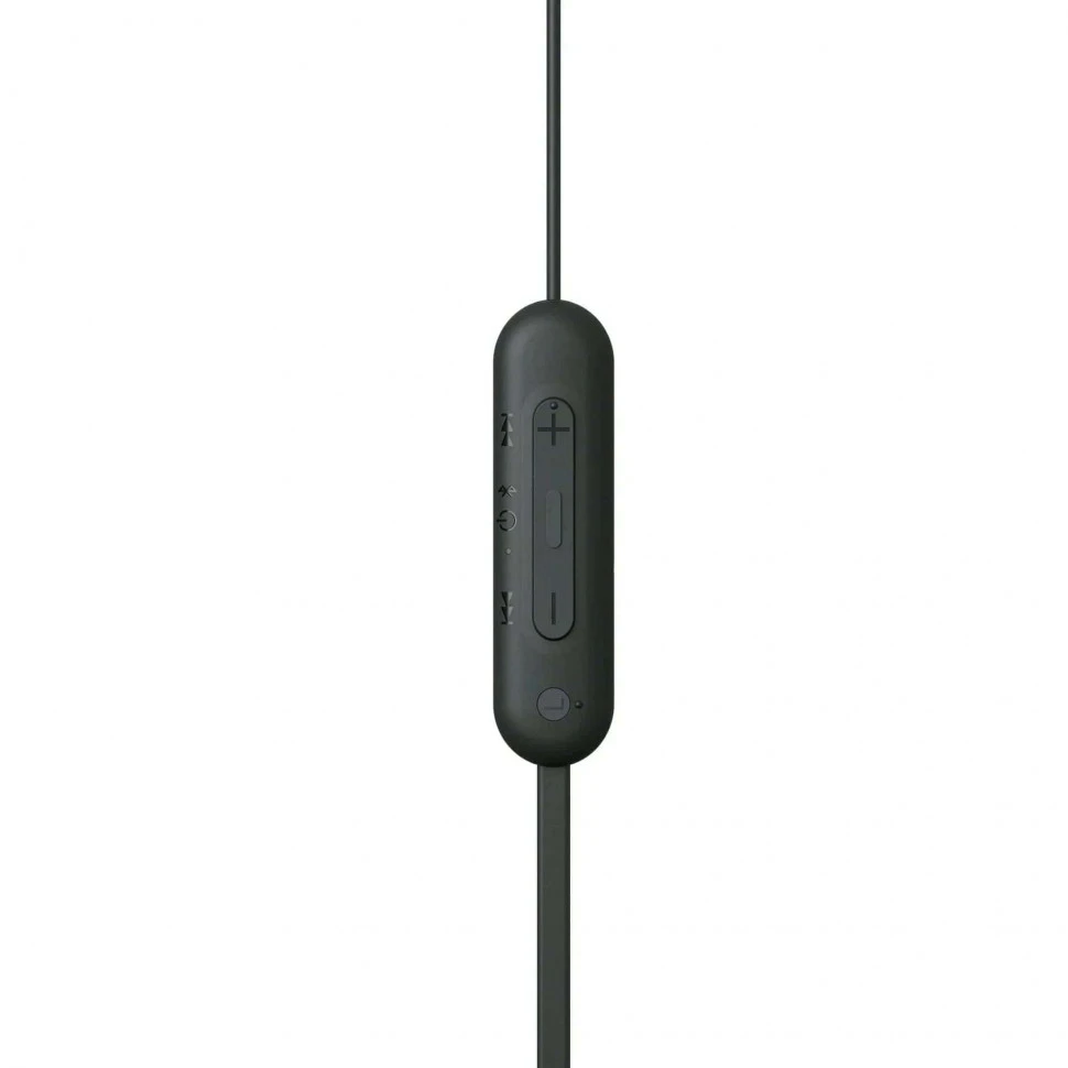 Беспроводные наушники Sony WI-C100 Черный (Black)