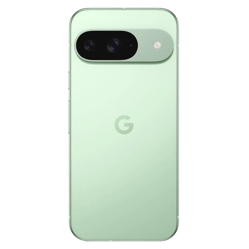 Смартфон Google Pixel 9 12/256GB Зеленый (Winter Green)