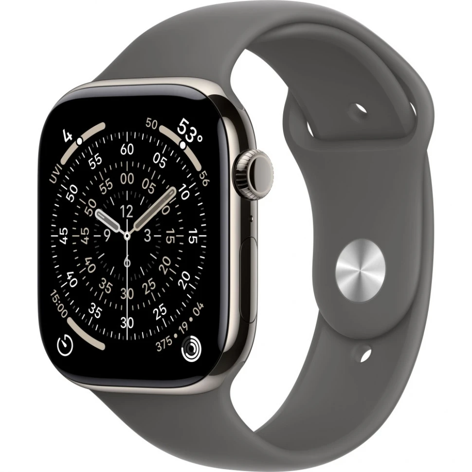 Умные часы Apple Watch Series 11 46mm Natural Titanium Case with Stone Gray Sport Band (M/L)