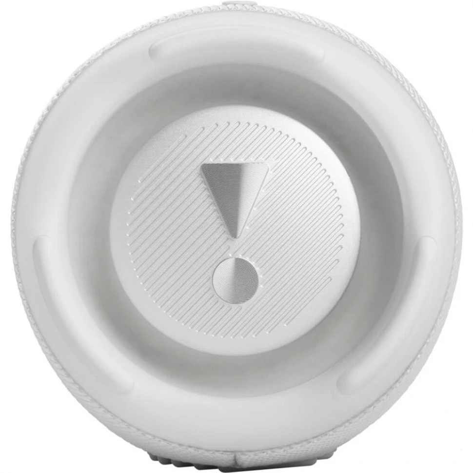 Портативная колонка JBL Charge 5 Белый (White)